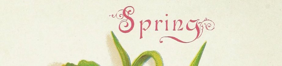 Happy Spring to our audience in the northern hemisphere! A cropped image with the word Spring.